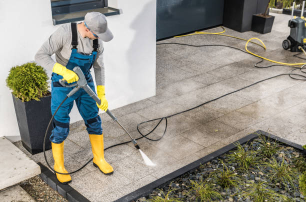 Best Roof Pressure Washing  in Hales Corners, WI